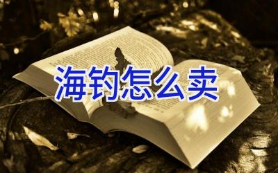 海钓怎么卖插图