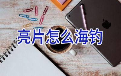 亮片怎么海钓插图