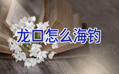 龙口怎么海钓插图