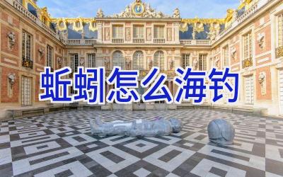 蚯蚓怎么海钓插图