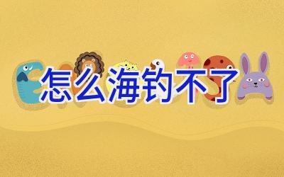 怎么海钓不了插图