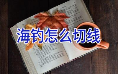 海钓怎么切线插图