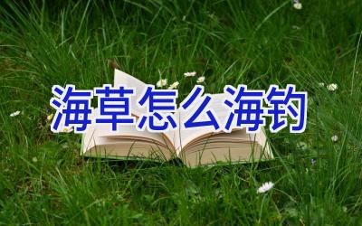海草怎么海钓插图