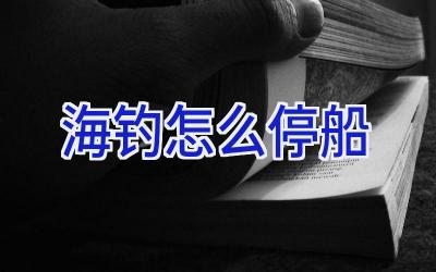 海钓怎么停船插图