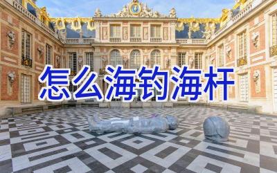 怎么海钓海杆插图