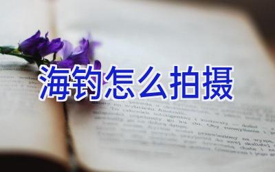 海钓怎么拍摄插图