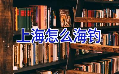 上海 怎么海钓插图