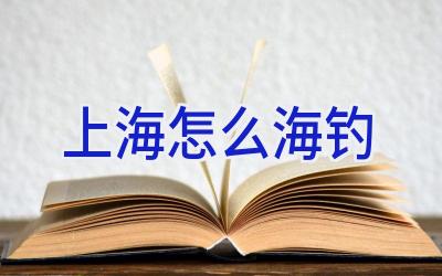 上海怎么海钓插图