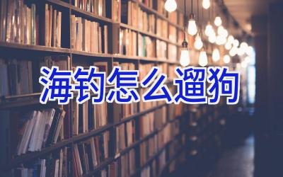 海钓怎么遛狗插图