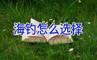 海钓怎么选择插图