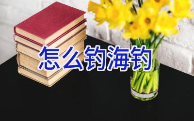 怎么钓海钓插图