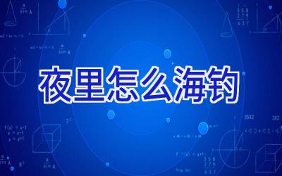夜里怎么海钓插图