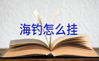 海钓怎么挂插图