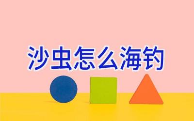 沙虫怎么海钓插图