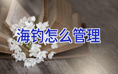 海钓怎么管理插图