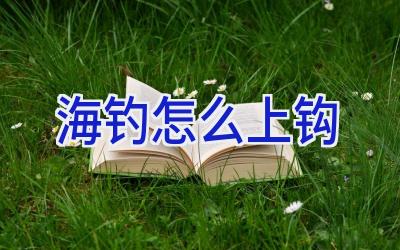 海钓怎么上钩插图