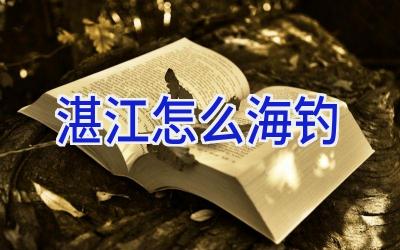 湛江怎么海钓插图