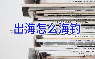 出海怎么海钓插图