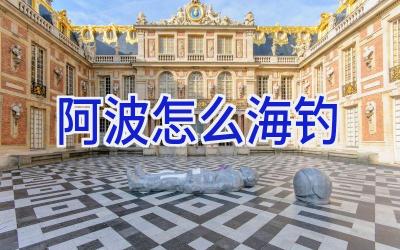 阿波怎么海钓插图