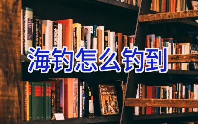 海钓怎么钓到插图