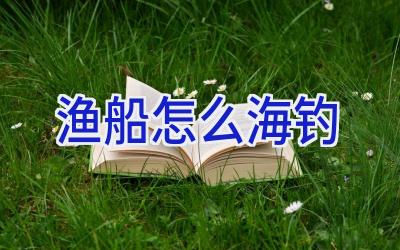 渔船怎么海钓插图