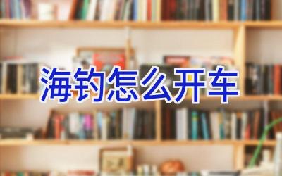 海钓怎么开车插图