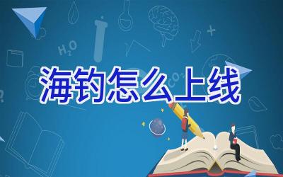 海钓怎么上线插图