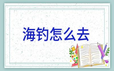 海钓怎么去插图