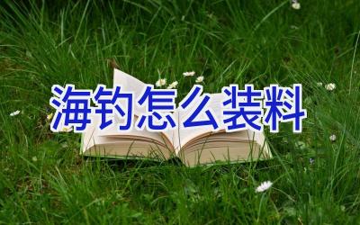 海钓怎么装料插图