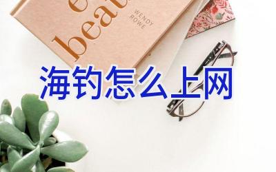 海钓怎么上网插图