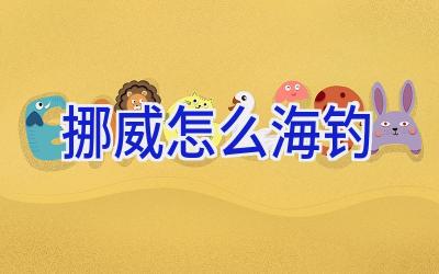 挪威怎么海钓插图 挪威怎么海钓插图