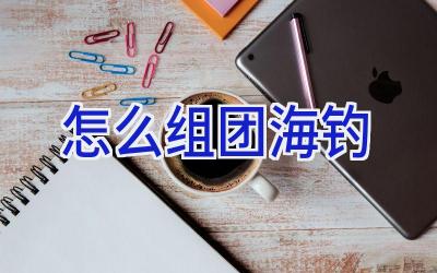 怎么组团海钓插图