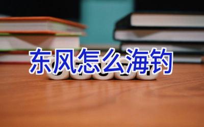 东风怎么海钓插图