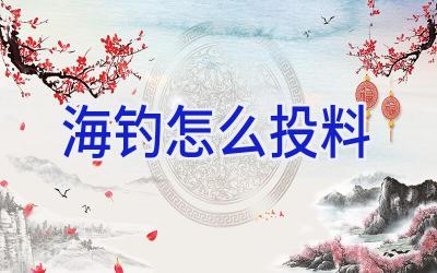 海钓怎么投料插图