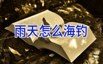雨天怎么海钓插图