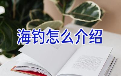 海钓怎么介绍插图