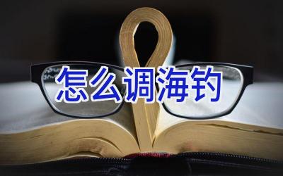 怎么调海钓插图