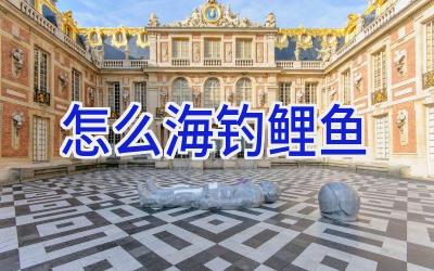 怎么海钓鲤鱼插图