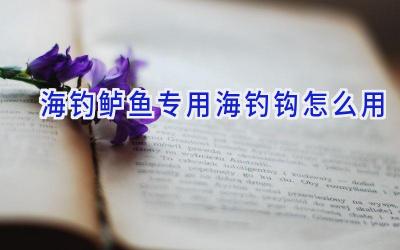 海钓鲈鱼专用海钓钩怎么用插图