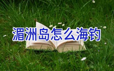 湄洲岛怎么海钓插图