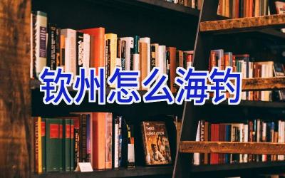 钦州怎么海钓插图