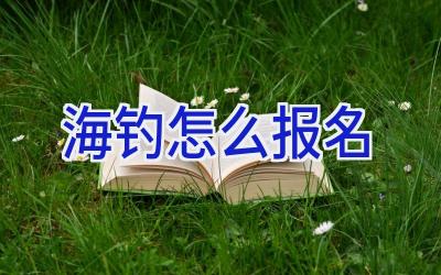 海钓怎么报名插图