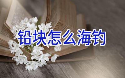 铅块怎么海钓插图