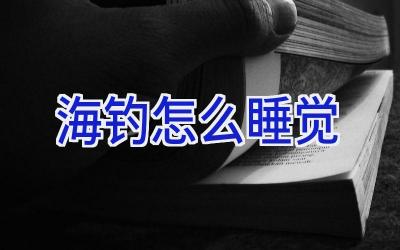 海钓怎么睡觉插图