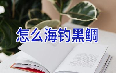 怎么海钓黑鲷插图