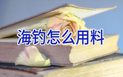 海钓怎么用料插图