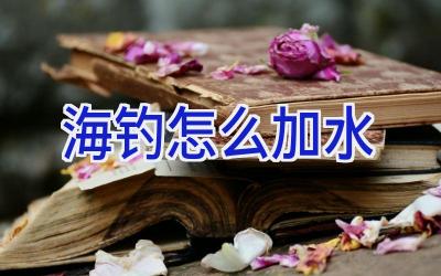 海钓怎么加水插图