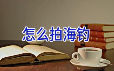 怎么拍海钓插图