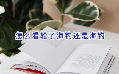 怎么看轮子海钓还是海钓插图 怎么看轮子海钓还是海钓插图
