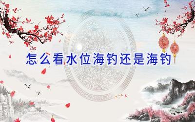 怎么看水位海钓还是海钓插图 怎么看水位海钓还是海钓插图